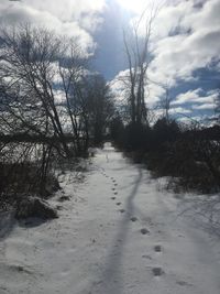 Bare trees on snow covered landscape