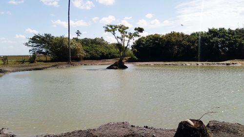 Scenic view of river against sky