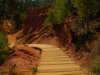 Footpath amidst rocks in forest