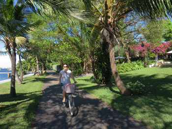 Rear view of man riding bicycle on palm trees