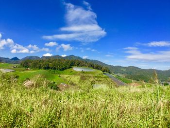 Scenic view of green landscape against sky