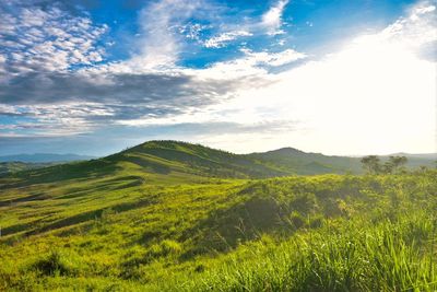 Scenic view of field against sky