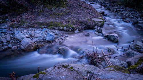 Scenic view of waterfall in forest