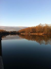 Reflection of trees in calm lake