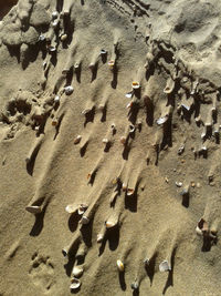 High angle view of footprints on sand at beach