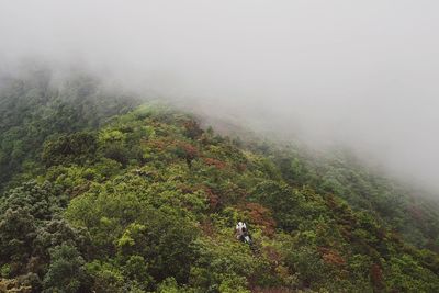 Scenic view of landscape in foggy weather