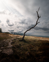 Scenic view of land against sky