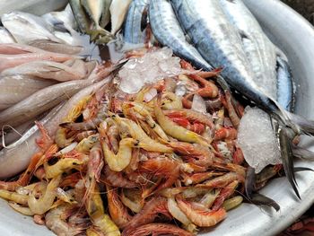 High angle view of fish for sale in market