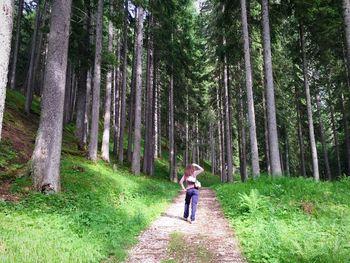 Rear view of woman standing on footpath amidst trees in forest