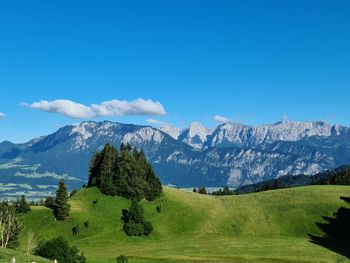 mountain