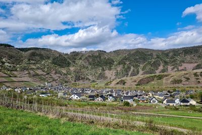 Mosel - vineyard - germany