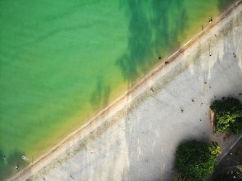 High angle view of road amidst green landscape