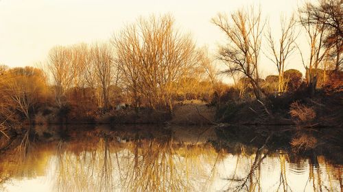 Reflection of bare trees in lake against sky