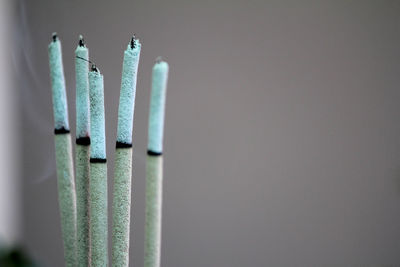 Incense burn to worship the buddha and the sacred.