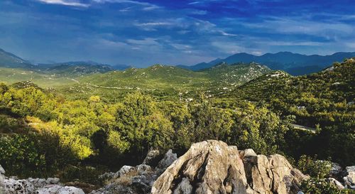 Scenic view of landscape against sky