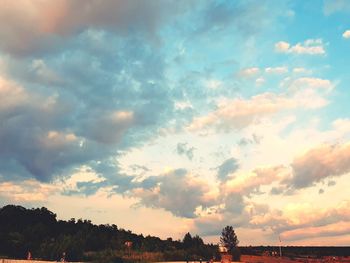 Low angle view of trees against sky during sunset