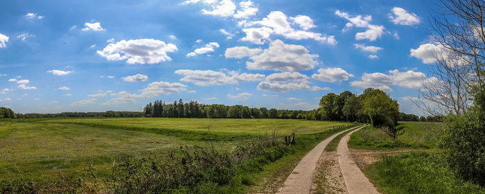 Beautiful high resolution panorama of a landscape with fields and green grass 