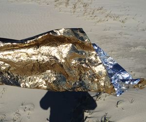 Close-up of person on beach