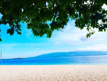 Scenic view of beach