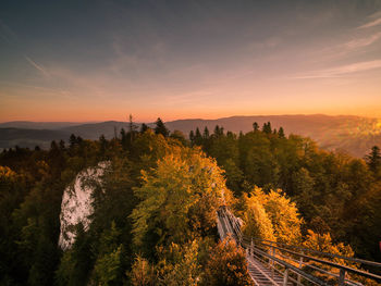 High angle view of trees on landscape against sky during sunset