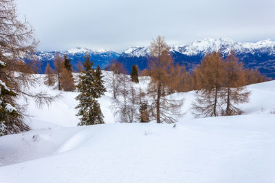 Scenic view of snow covered mountains against sky