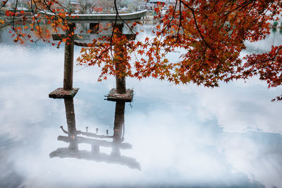 Scenic view of lake against sky during autumn