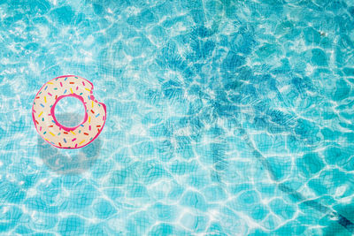 High angle view of bread floating on swimming pool