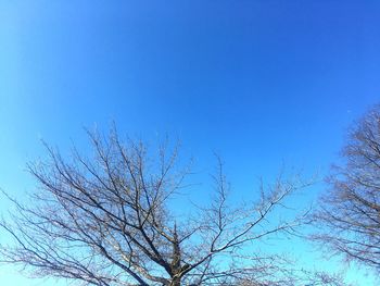 Low angle view of clear blue sky