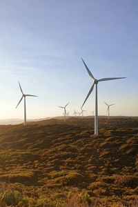 Windmills on field against clear sky