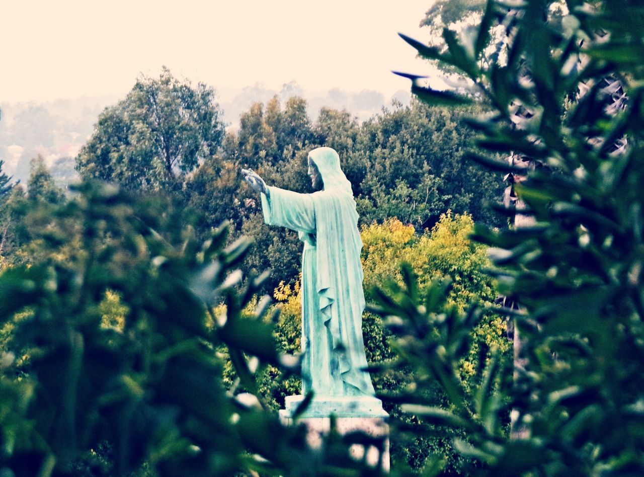 STATUE OF BUDDHA AGAINST TREES