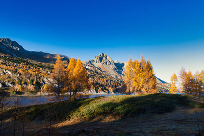 Scenic view of trees and mountains against clear blue sky