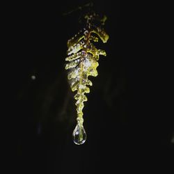 illuminated