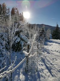 Snow covered field against sky