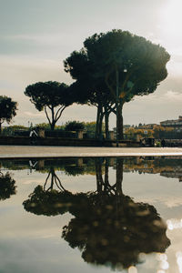 reflection