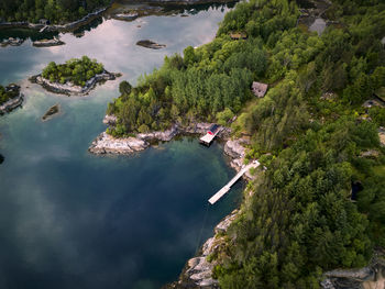 High angle view of river amidst trees in forest