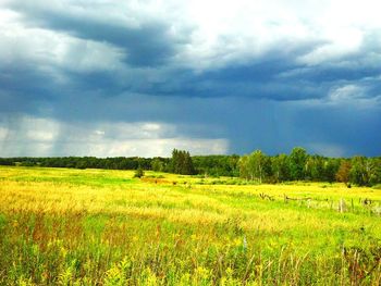 Scenic view of grassy field against cloudy sky