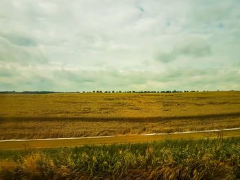 Scenic view of field against sky