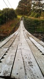 Railroad tracks along trees