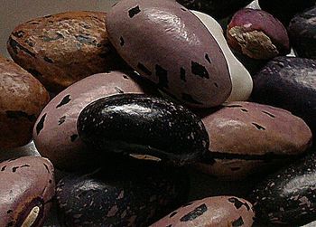 Close-up of old building