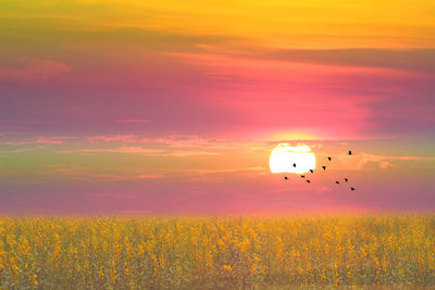 sky