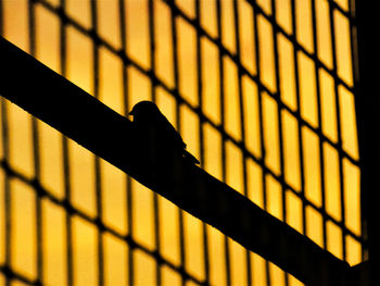 Close-up of metal grate on fence