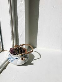 High angle view of potted plant on window sill