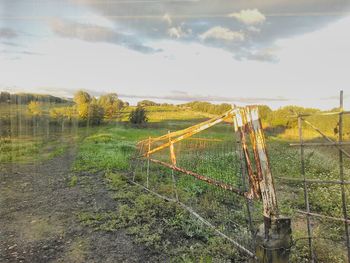 Scenic view of field against sky