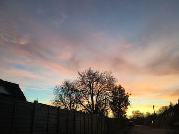 Low angle view of silhouette tree and building against sky at sunset