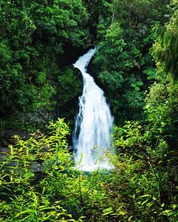 Scenic view of waterfall