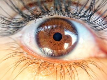 Close-up of human eye