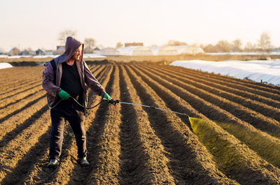 The farmer treats the field from weeds and grass for growing potatoes. use chemicals in agriculture