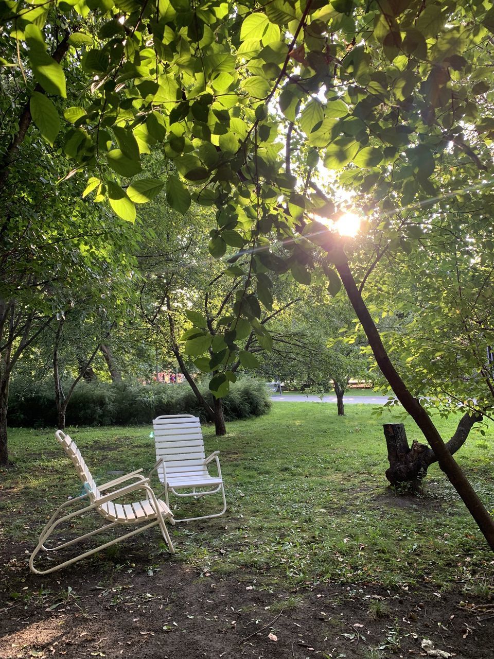 EMPTY BENCH IN PARK DURING AUTUMN