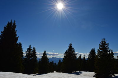 Scenic view of snow covered landscape against blue sky