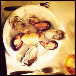 Close-up of food on plate